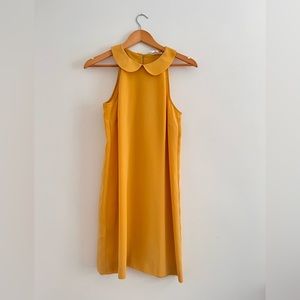 Peter Pan collar BCBG mini dress